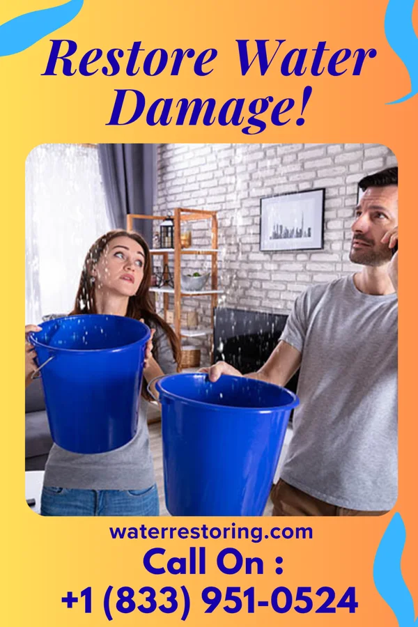 water restoration Direct Sewage Cleanup Co Mississippi State